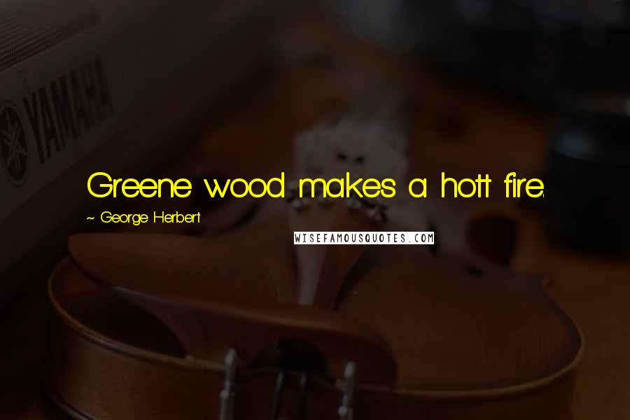 George Herbert Quotes: Greene wood makes a hott fire.