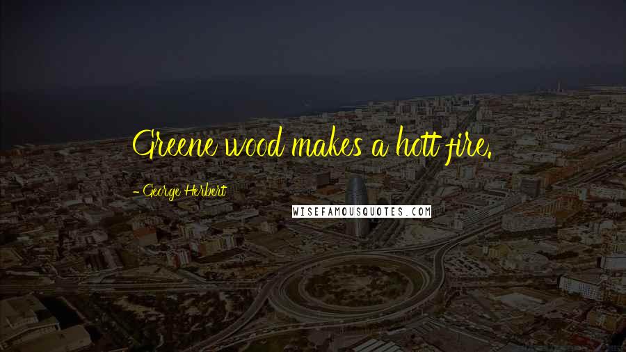 George Herbert Quotes: Greene wood makes a hott fire.