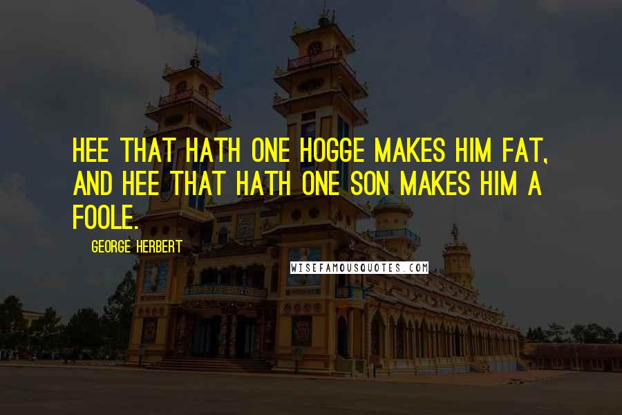 George Herbert Quotes: Hee that hath one hogge makes him fat, and hee that hath one son makes him a foole.