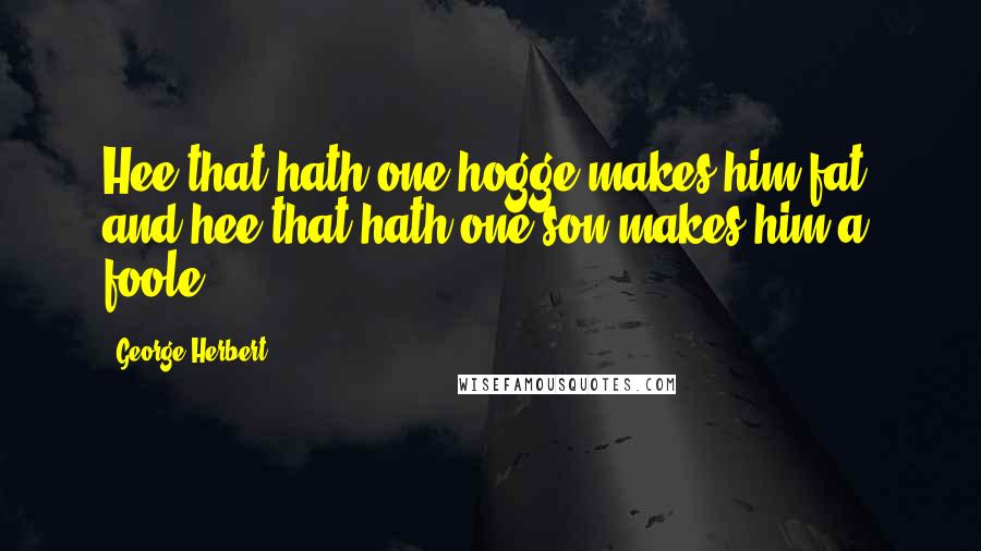 George Herbert Quotes: Hee that hath one hogge makes him fat, and hee that hath one son makes him a foole.