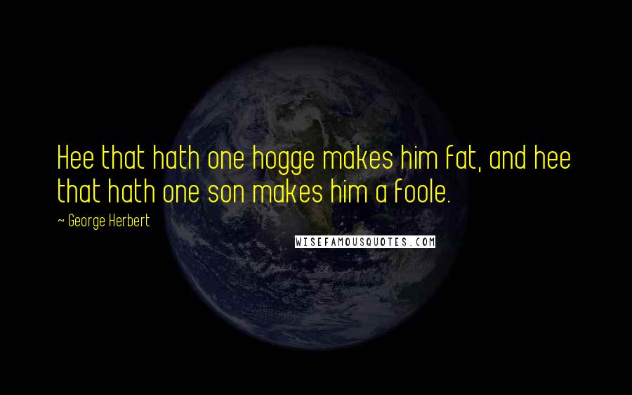 George Herbert Quotes: Hee that hath one hogge makes him fat, and hee that hath one son makes him a foole.