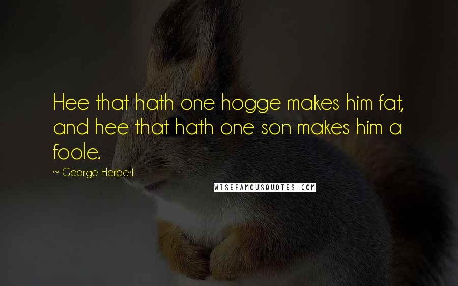 George Herbert Quotes: Hee that hath one hogge makes him fat, and hee that hath one son makes him a foole.
