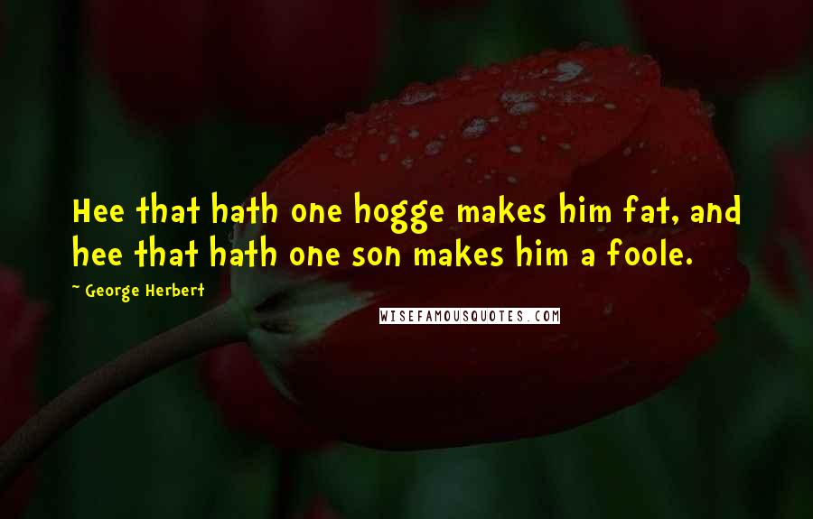 George Herbert Quotes: Hee that hath one hogge makes him fat, and hee that hath one son makes him a foole.