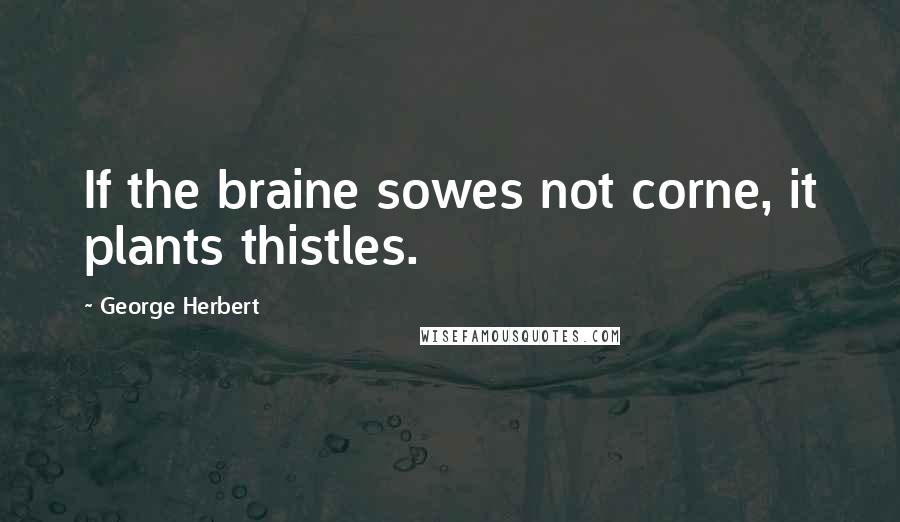 George Herbert Quotes: If the braine sowes not corne, it plants thistles.