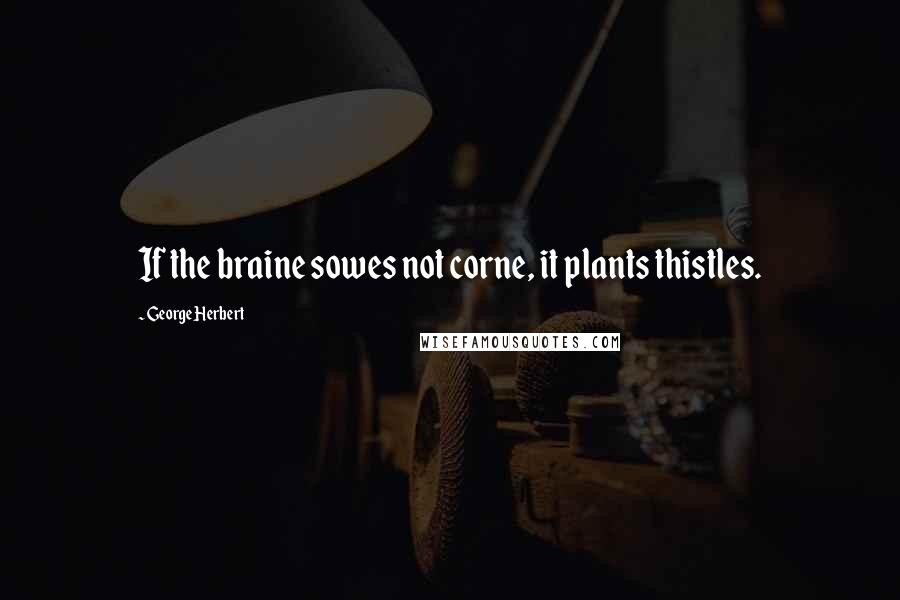 George Herbert Quotes: If the braine sowes not corne, it plants thistles.