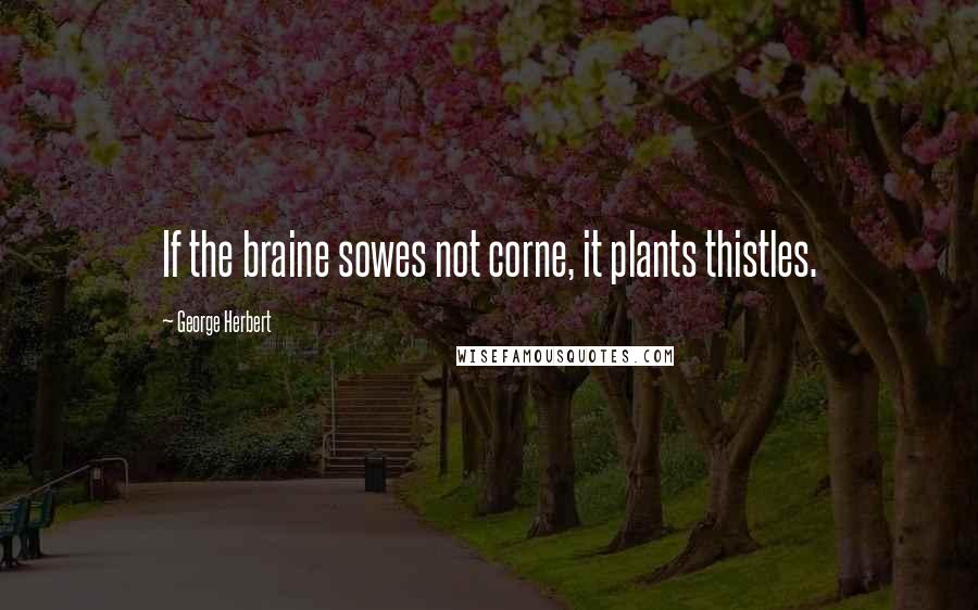 George Herbert Quotes: If the braine sowes not corne, it plants thistles.