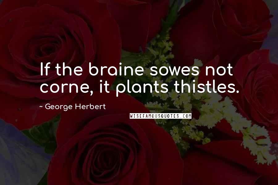 George Herbert Quotes: If the braine sowes not corne, it plants thistles.