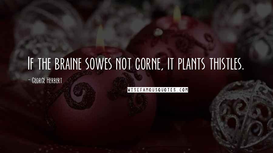 George Herbert Quotes: If the braine sowes not corne, it plants thistles.