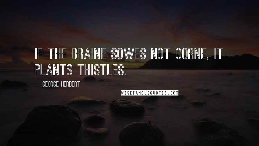 George Herbert Quotes: If the braine sowes not corne, it plants thistles.