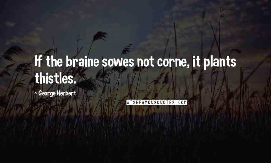 George Herbert Quotes: If the braine sowes not corne, it plants thistles.