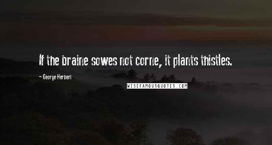 George Herbert Quotes: If the braine sowes not corne, it plants thistles.