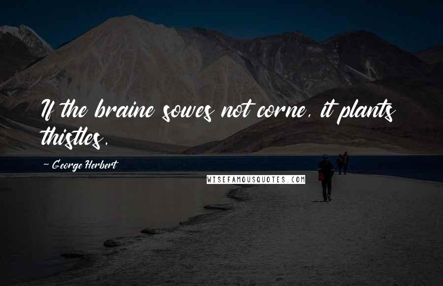 George Herbert Quotes: If the braine sowes not corne, it plants thistles.