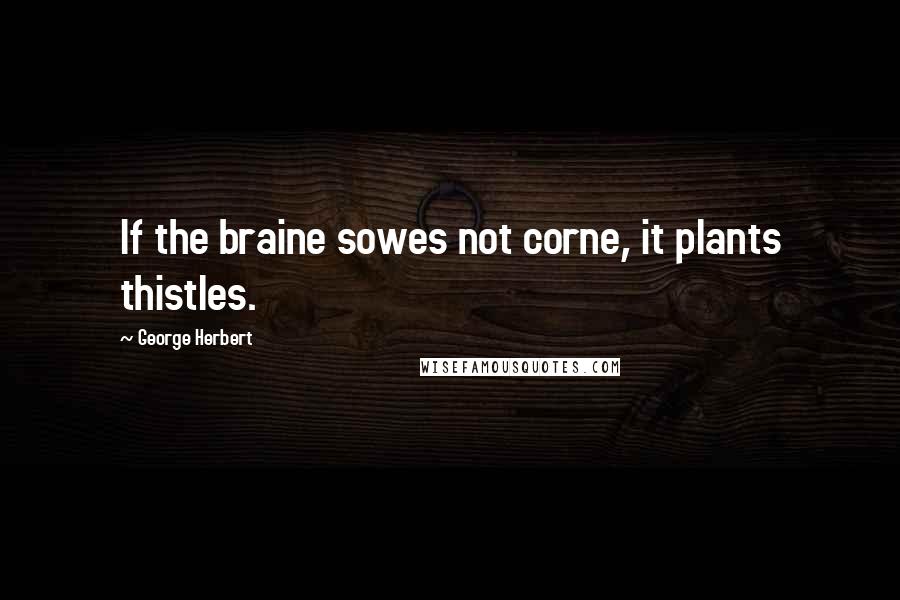 George Herbert Quotes: If the braine sowes not corne, it plants thistles.