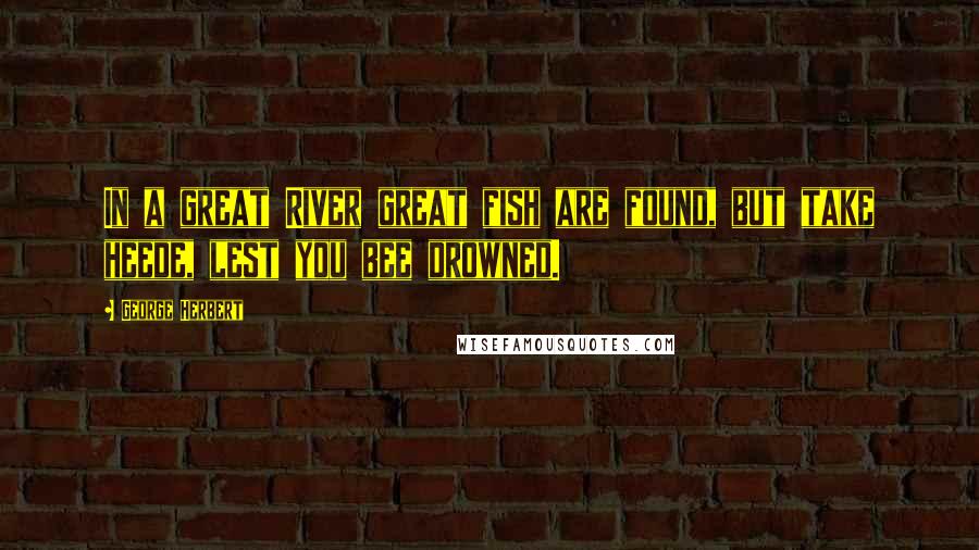 George Herbert Quotes: In a great River great fish are found, but take heede, lest you bee drowned.