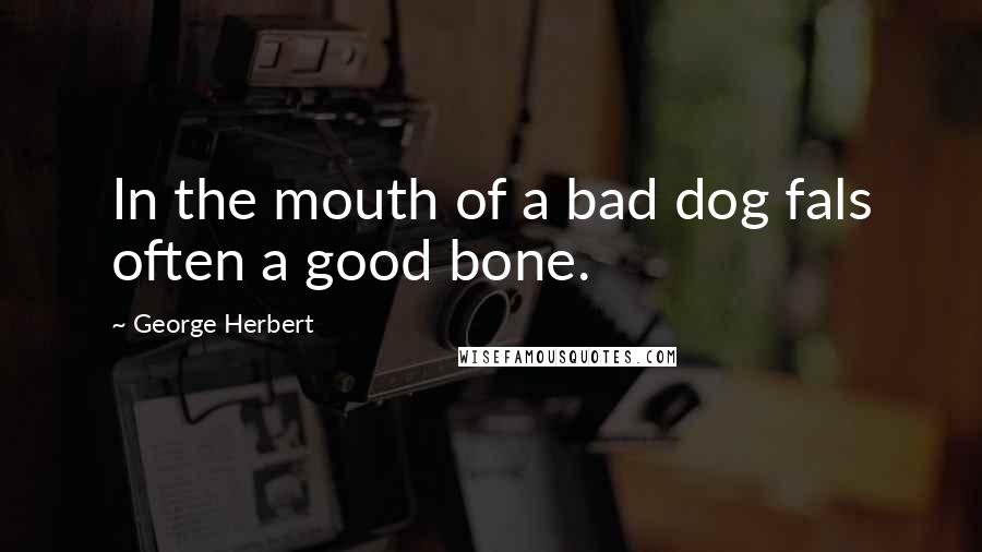 George Herbert Quotes: In the mouth of a bad dog fals often a good bone.