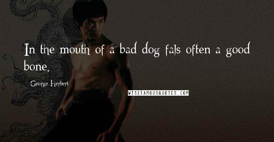 George Herbert Quotes: In the mouth of a bad dog fals often a good bone.