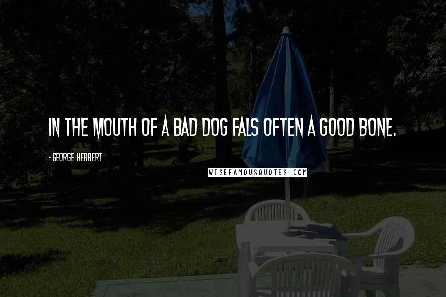 George Herbert Quotes: In the mouth of a bad dog fals often a good bone.