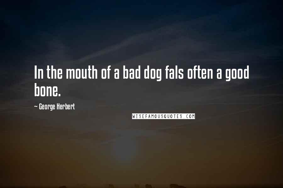 George Herbert Quotes: In the mouth of a bad dog fals often a good bone.