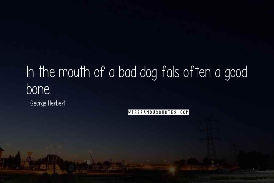 George Herbert Quotes: In the mouth of a bad dog fals often a good bone.