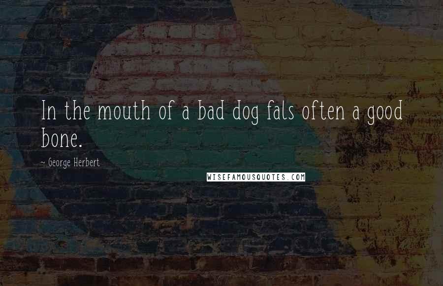 George Herbert Quotes: In the mouth of a bad dog fals often a good bone.