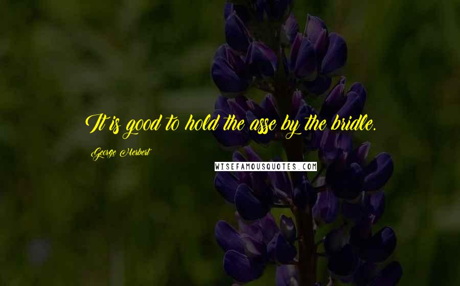 George Herbert Quotes: It is good to hold the asse by the bridle.