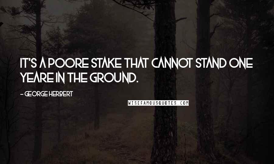 George Herbert Quotes: It's a poore stake that cannot stand one yeare in the ground.