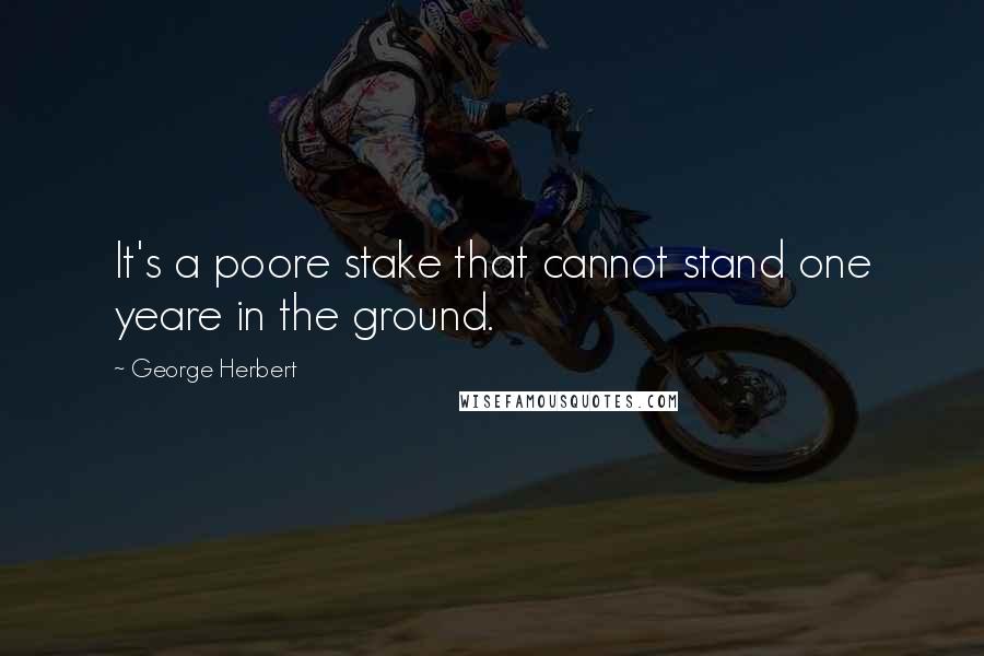 George Herbert Quotes: It's a poore stake that cannot stand one yeare in the ground.