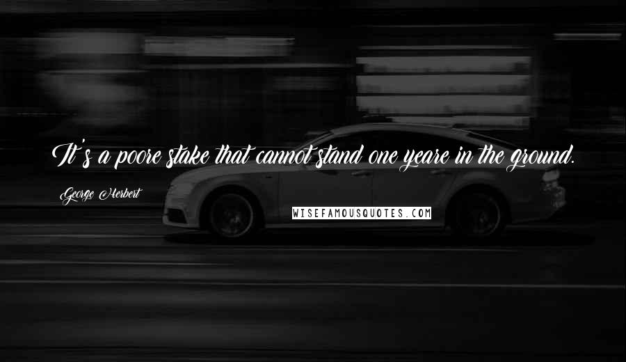 George Herbert Quotes: It's a poore stake that cannot stand one yeare in the ground.