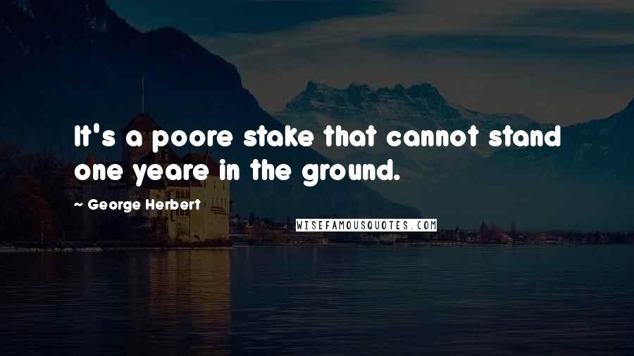 George Herbert Quotes: It's a poore stake that cannot stand one yeare in the ground.