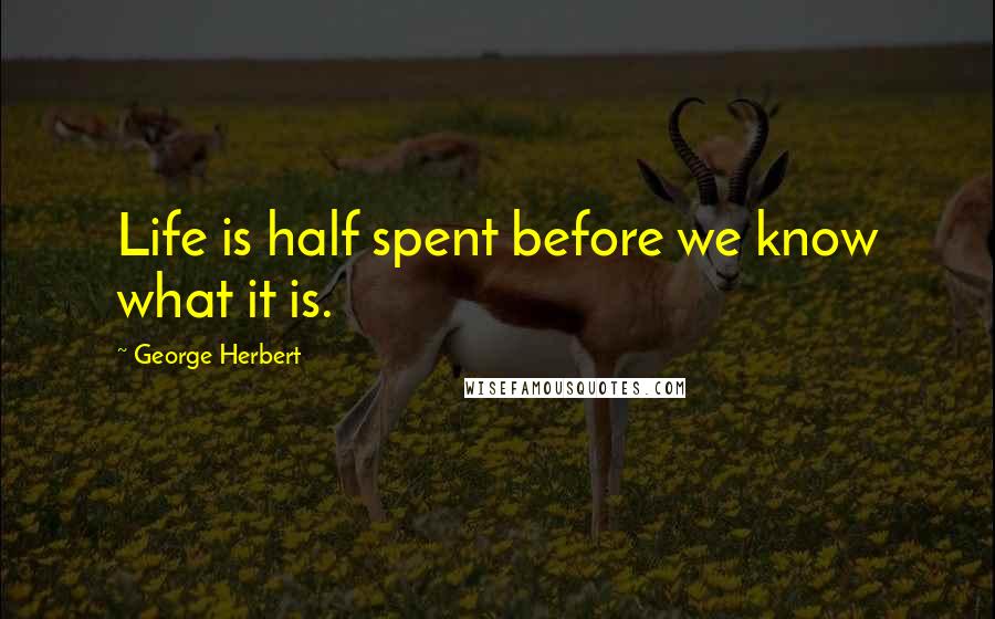 George Herbert Quotes: Life is half spent before we know what it is.