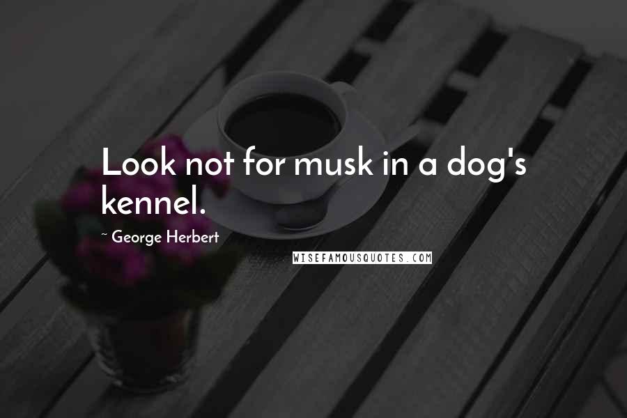 George Herbert Quotes: Look not for musk in a dog's kennel.