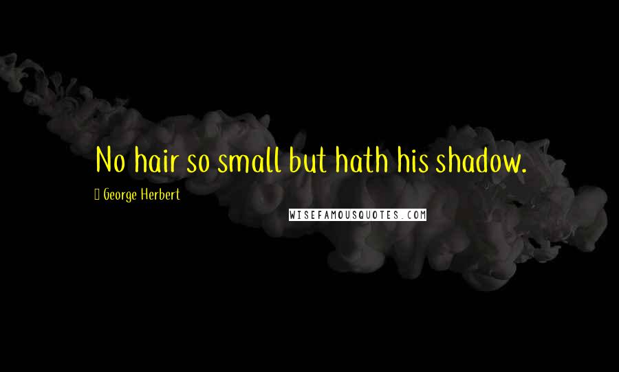 George Herbert Quotes: No hair so small but hath his shadow.