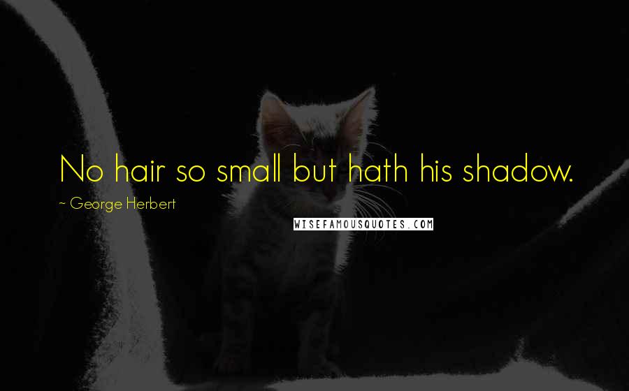 George Herbert Quotes: No hair so small but hath his shadow.