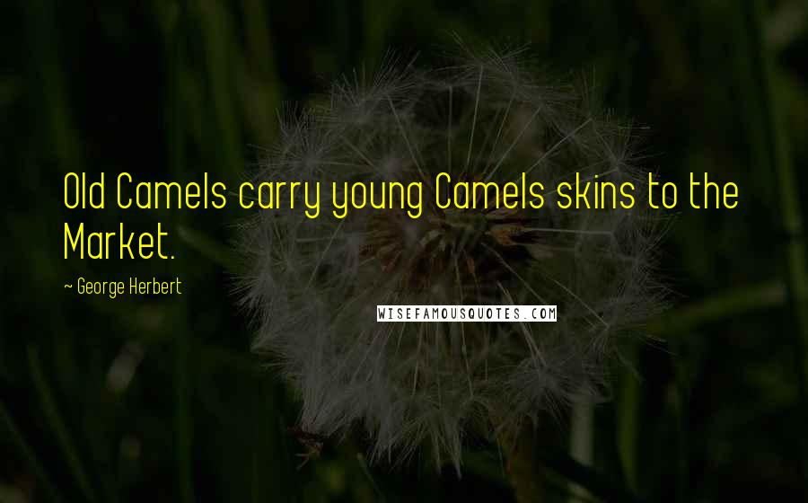 George Herbert Quotes: Old Camels carry young Camels skins to the Market.