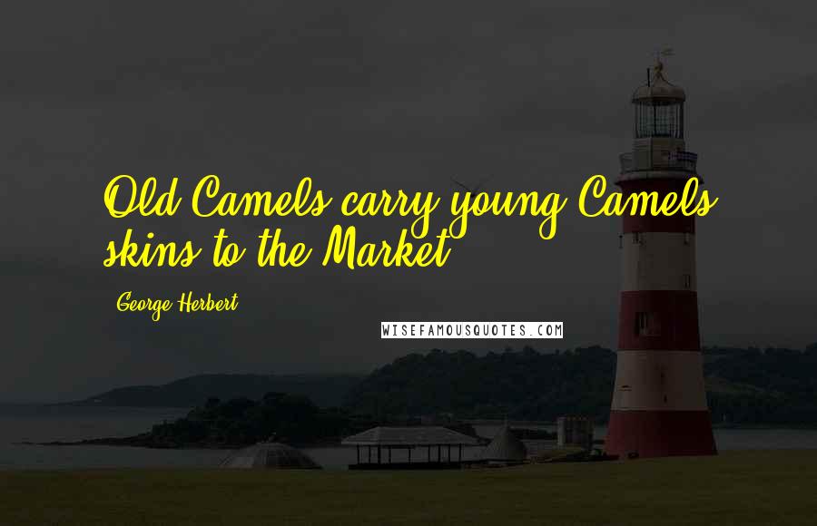 George Herbert Quotes: Old Camels carry young Camels skins to the Market.