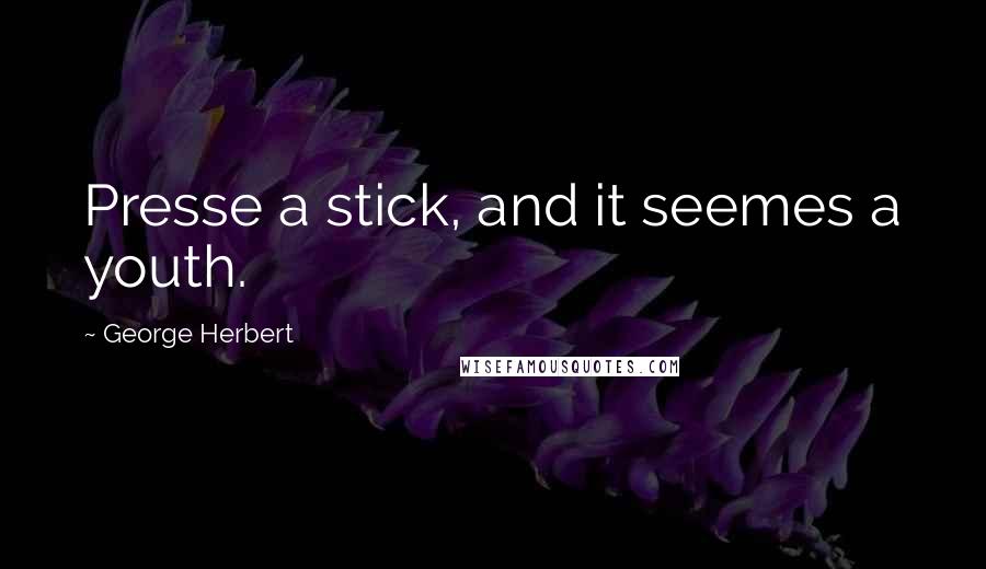 George Herbert Quotes: Presse a stick, and it seemes a youth.