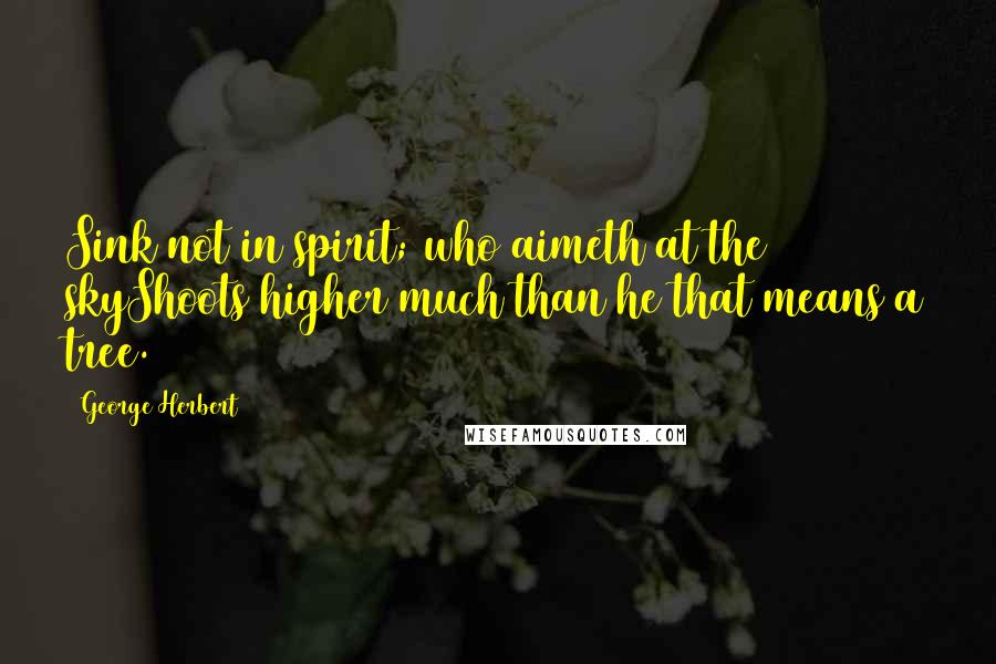 George Herbert Quotes: Sink not in spirit; who aimeth at the skyShoots higher much than he that means a tree.