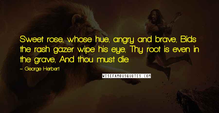 George Herbert Quotes: Sweet rose, whose hue, angry and brave, Bids the rash gazer wipe his eye, Thy root is even in the grave, And thou must die.