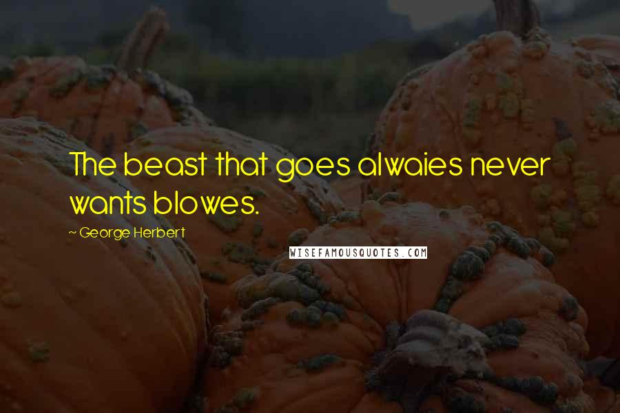 George Herbert Quotes: The beast that goes alwaies never wants blowes.