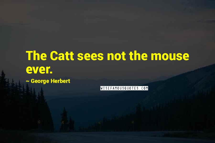 George Herbert Quotes: The Catt sees not the mouse ever.