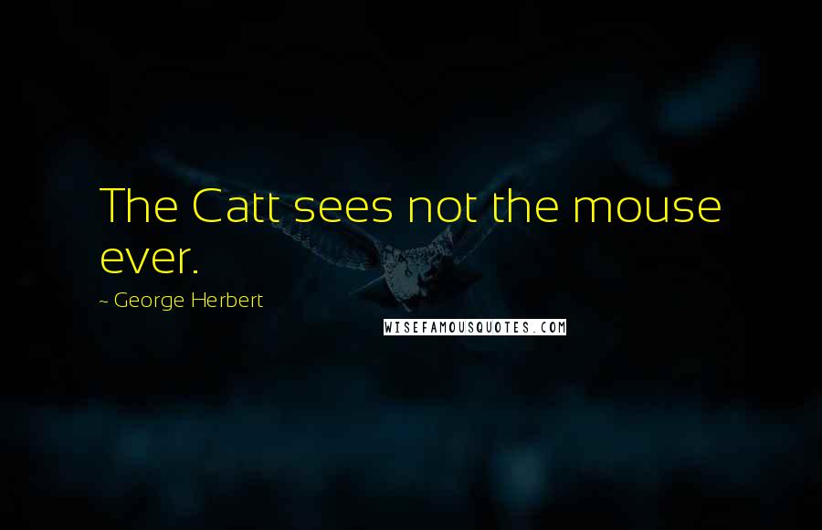 George Herbert Quotes: The Catt sees not the mouse ever.