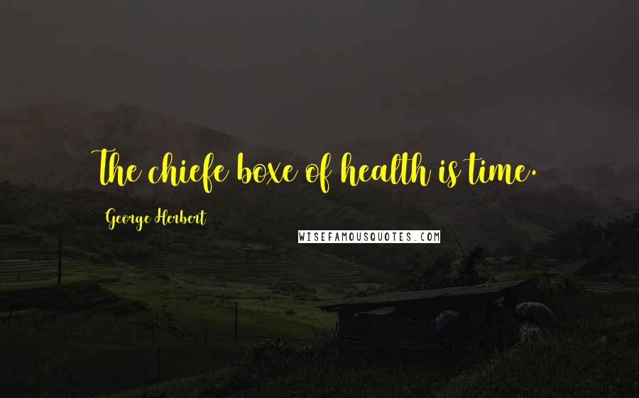 George Herbert Quotes: The chiefe boxe of health is time.