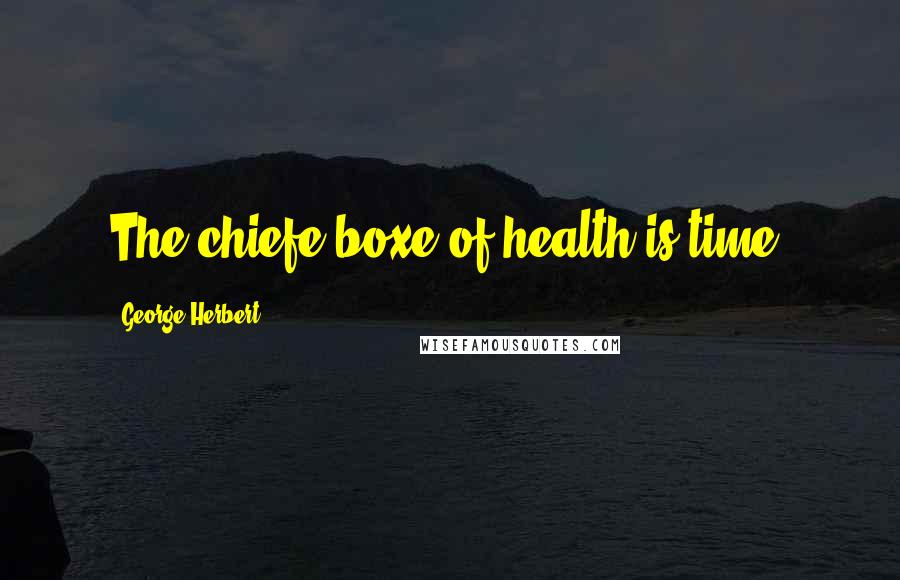 George Herbert Quotes: The chiefe boxe of health is time.