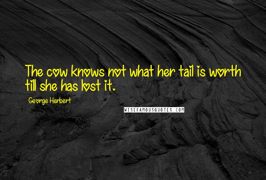 George Herbert Quotes: The cow knows not what her tail is worth till she has lost it.