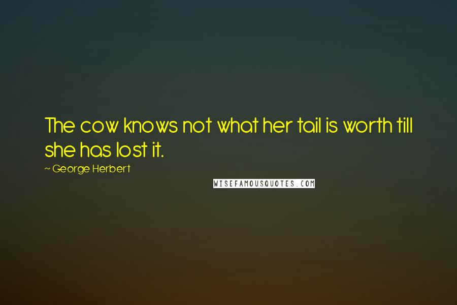 George Herbert Quotes: The cow knows not what her tail is worth till she has lost it.