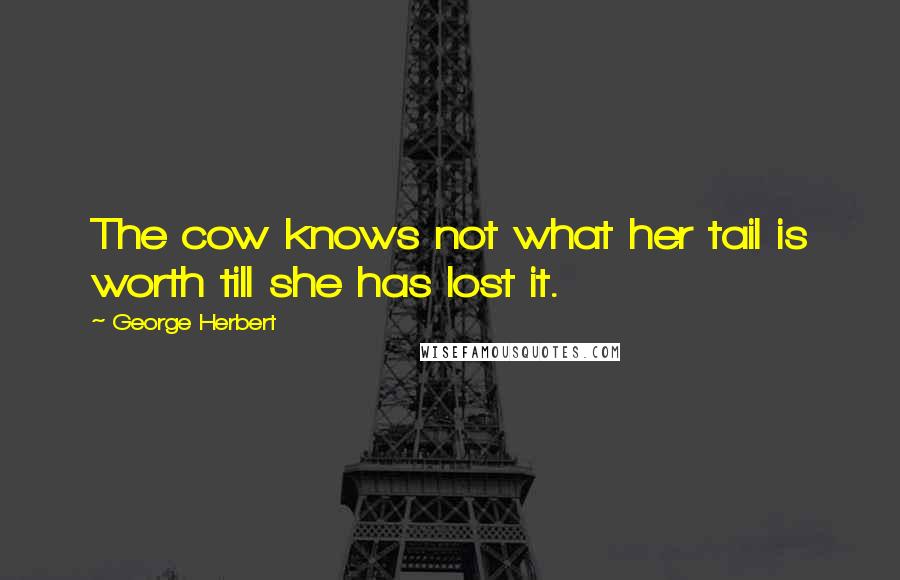 George Herbert Quotes: The cow knows not what her tail is worth till she has lost it.