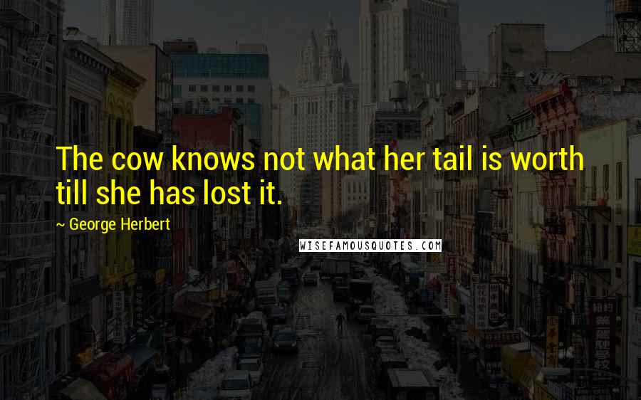 George Herbert Quotes: The cow knows not what her tail is worth till she has lost it.