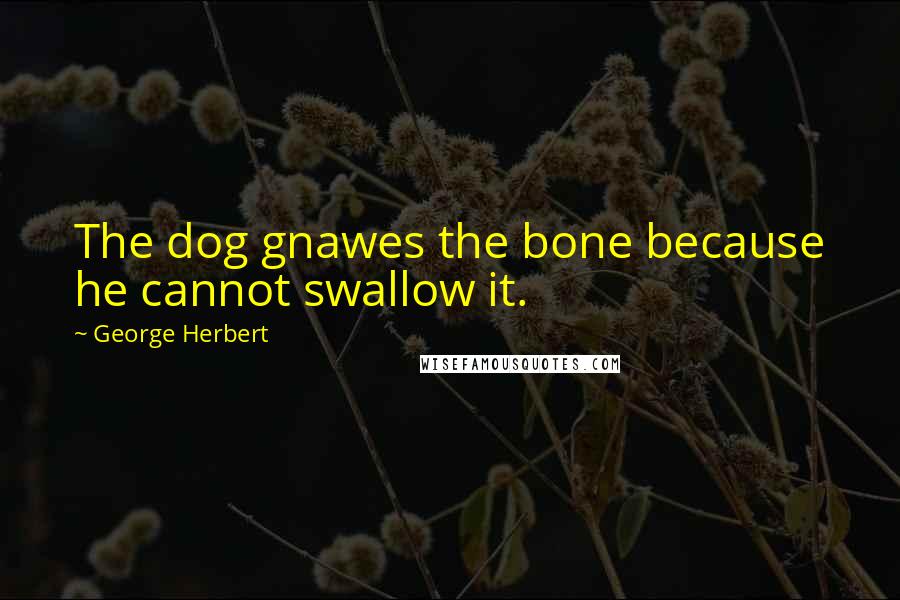 George Herbert Quotes: The dog gnawes the bone because he cannot swallow it.