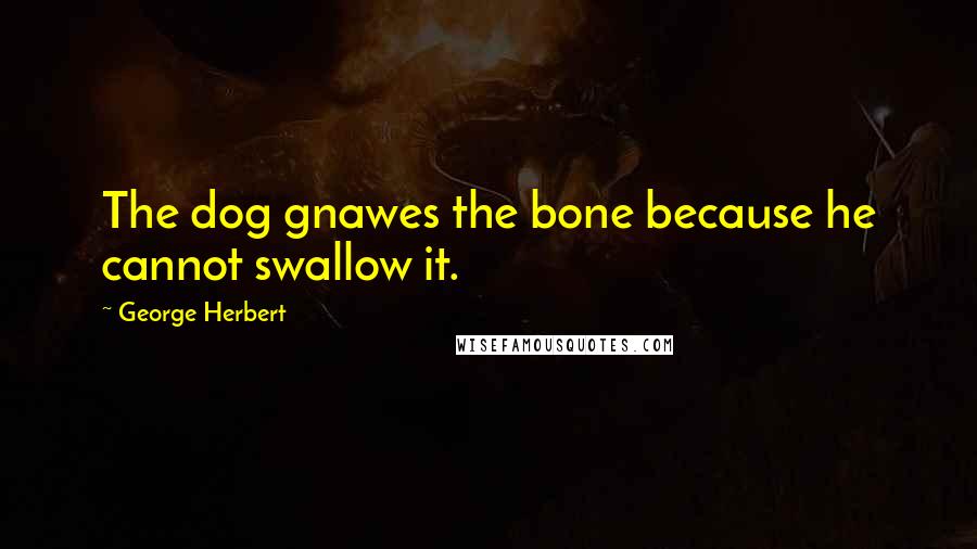 George Herbert Quotes: The dog gnawes the bone because he cannot swallow it.