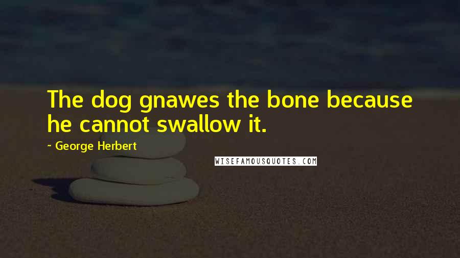 George Herbert Quotes: The dog gnawes the bone because he cannot swallow it.